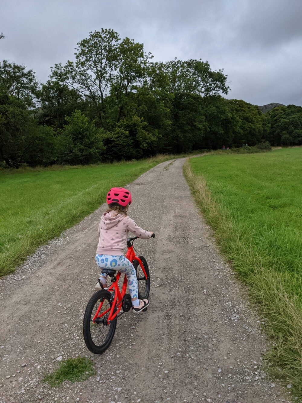 Forme Cubley 18 review Cycle Sprog