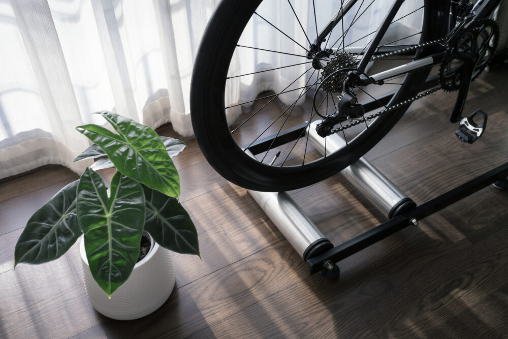Photo showing detail of road bike on rolling trainer and little plant inside. Using rollers can be a great way to quickly fit in some cycling when your baby needs you most of the time
