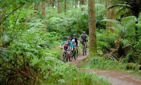 Shotgun bike seat for toddler to sit up front on mountain bike ride