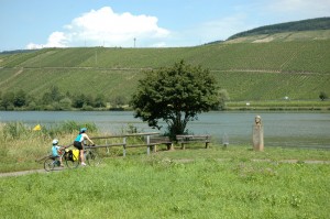 Family friendly cycle rides - out for a ride with the tagalong bike