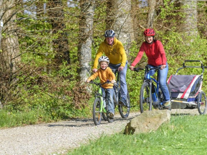 bike trailer