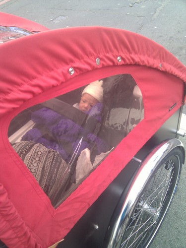 Baby in a cargo bike