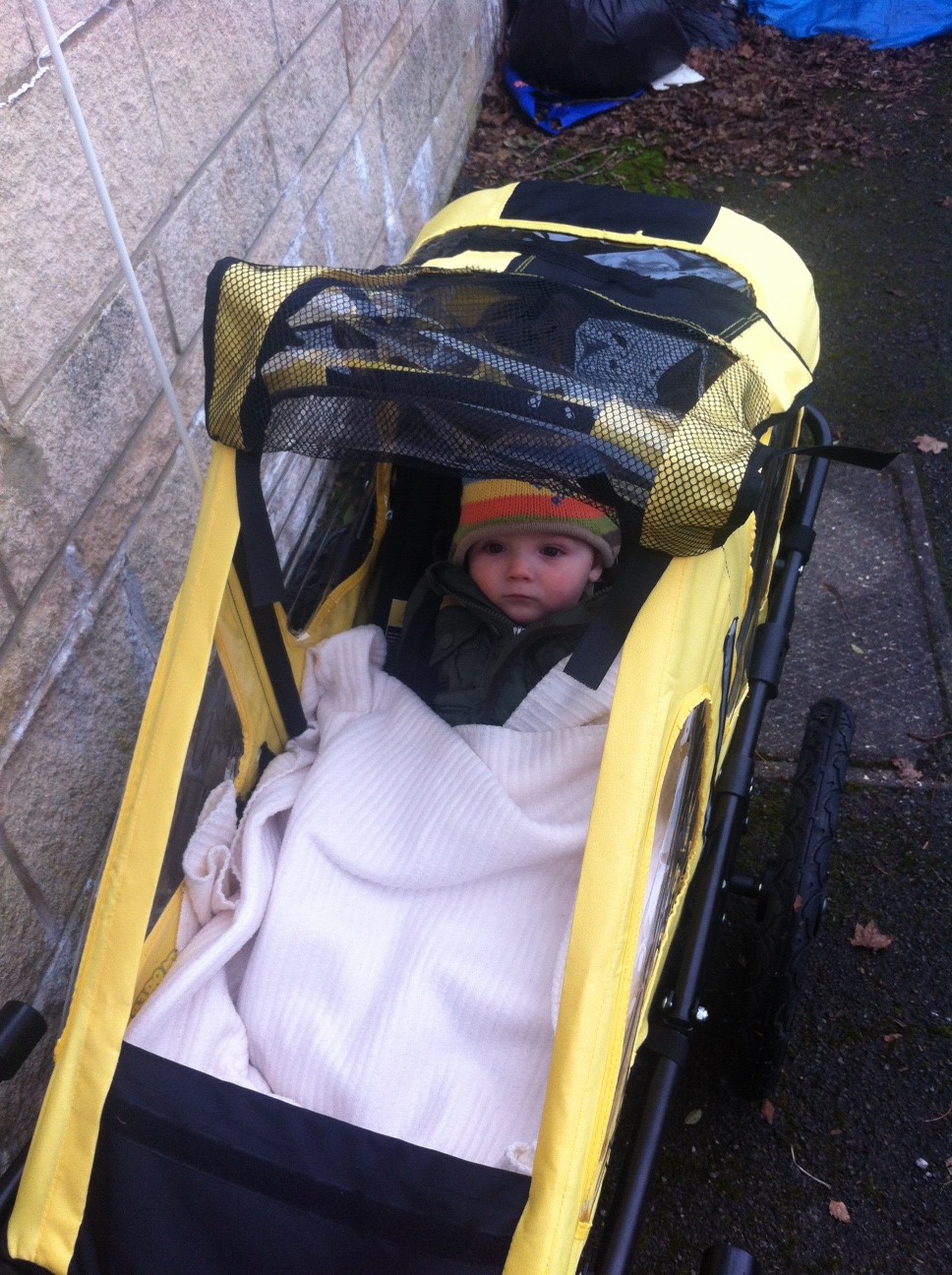 Child Bike Trailers What Are They And Is One Right For Your Family 