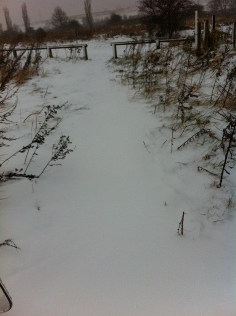 Cycling in the snow is extra special when you're the first one through it!