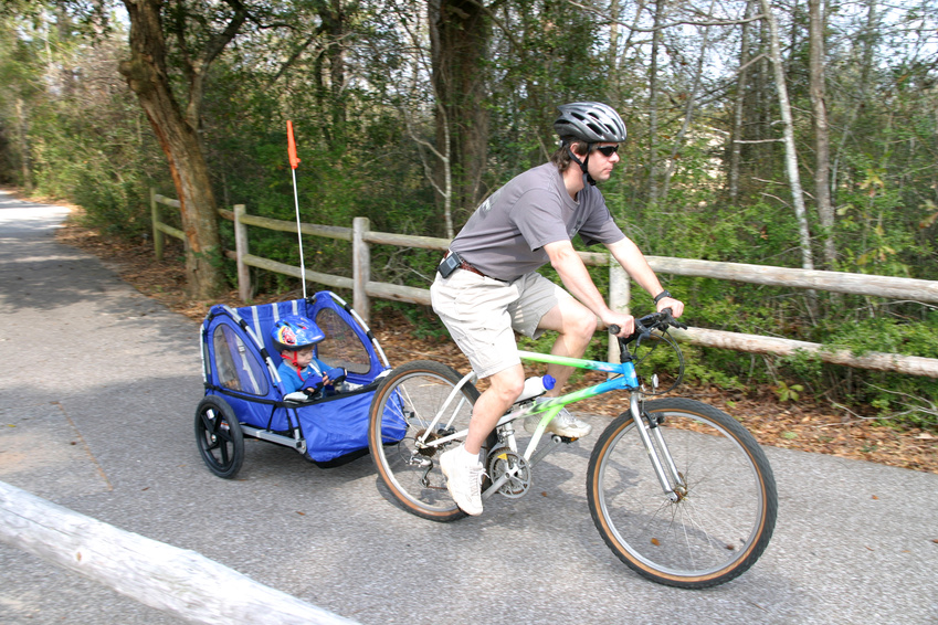 pull behind bike baby carrier