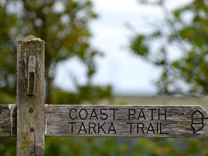 Tarka Trail and Coast Path sign 1