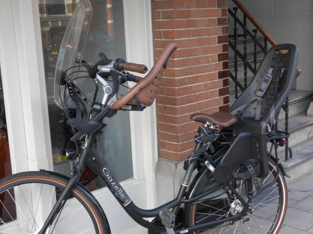 Lixada Bike Rear Seat Kid Bicycle Bike Rear Handrail Armrest Child Carrier Bike Back Seat 
