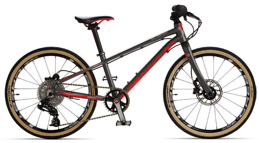 Islabikes Beinn 20 Pro Series kids mountain bike