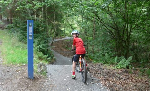 The start of the Kirroughtree Blue Taster Loop, 7Stanes, Galloway Forest, Scotland