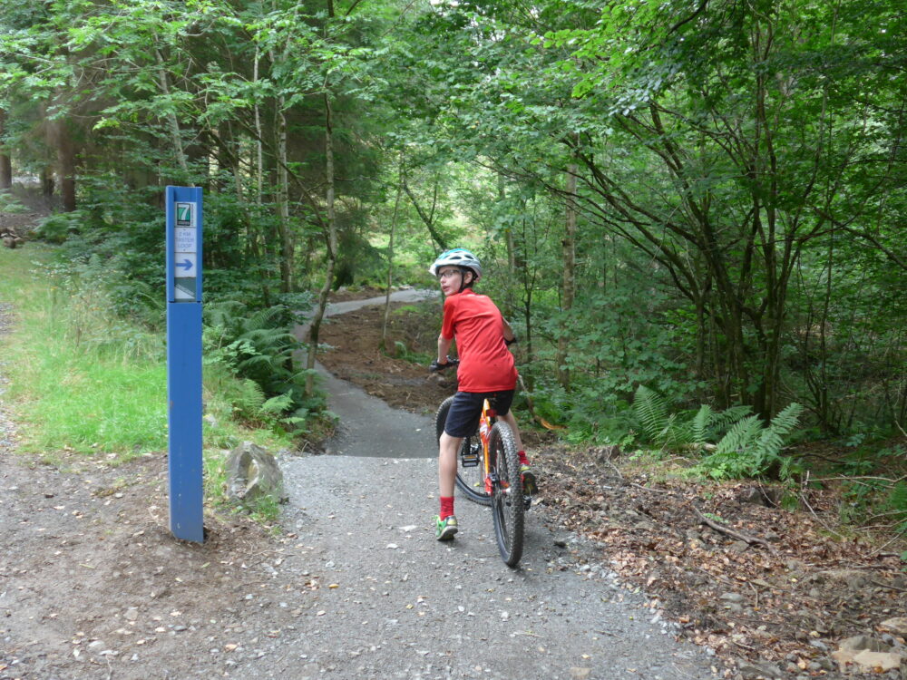 The start of the Kirroughtree Blue Taster Loop, 7Stanes, Galloway Forest, Scotland