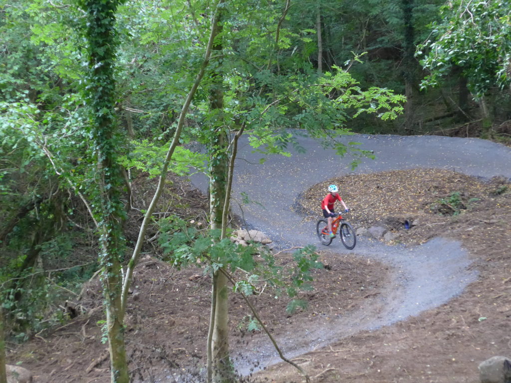 Riding the blue taster MTB loop at Kirroughtree 7 Stanes, Galloway Forest, Scotland on an Islabikes Creig Mountain Bike