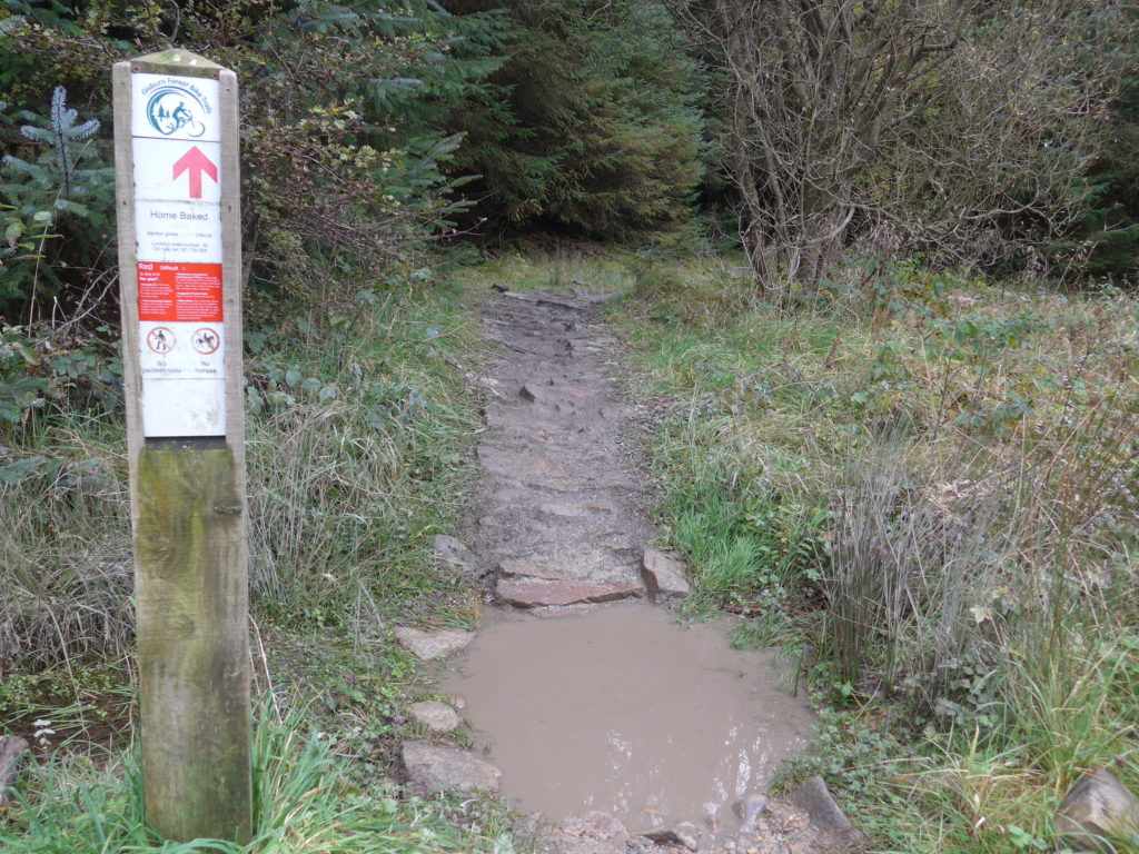 Gisburn Forest Red Route