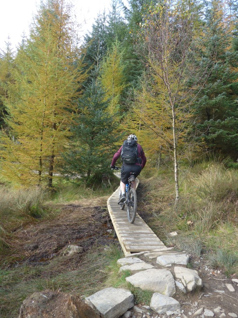 Riding the North Face Mountain Bike Trail at Grizedale Forest