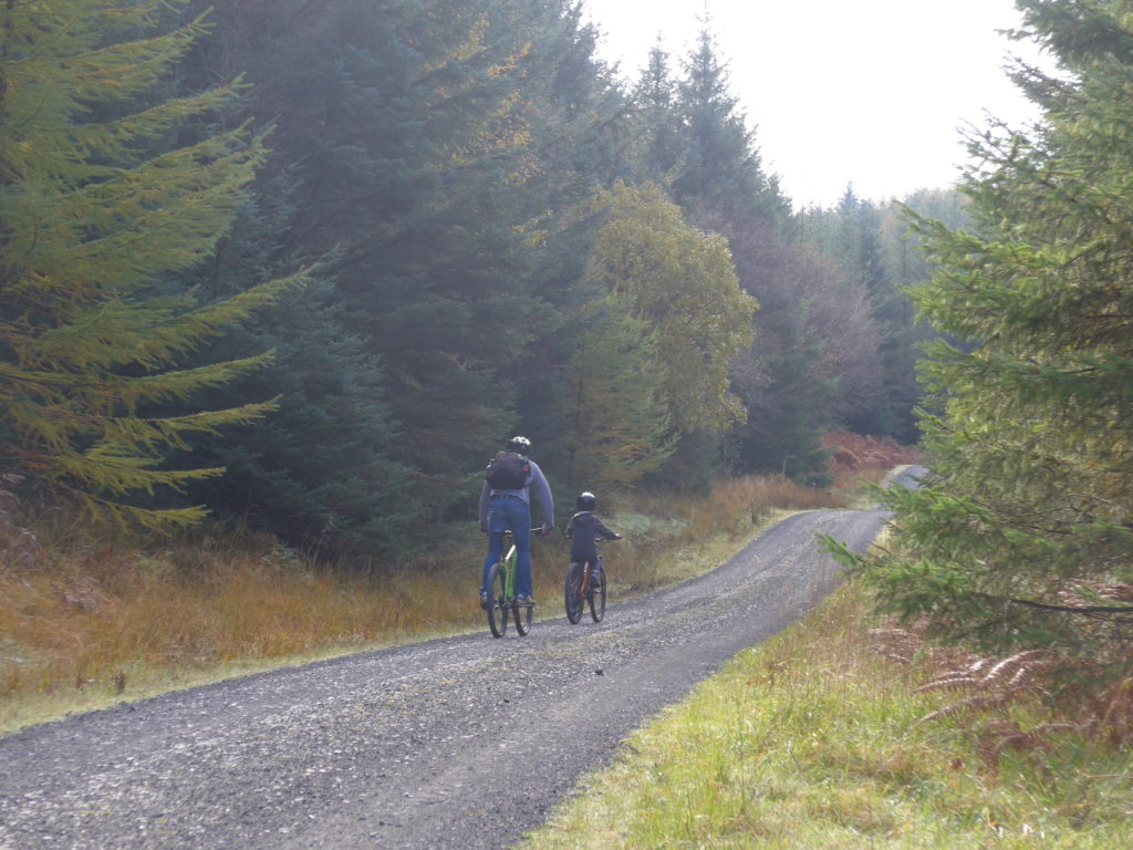 Family cycling at Grizedale Forest