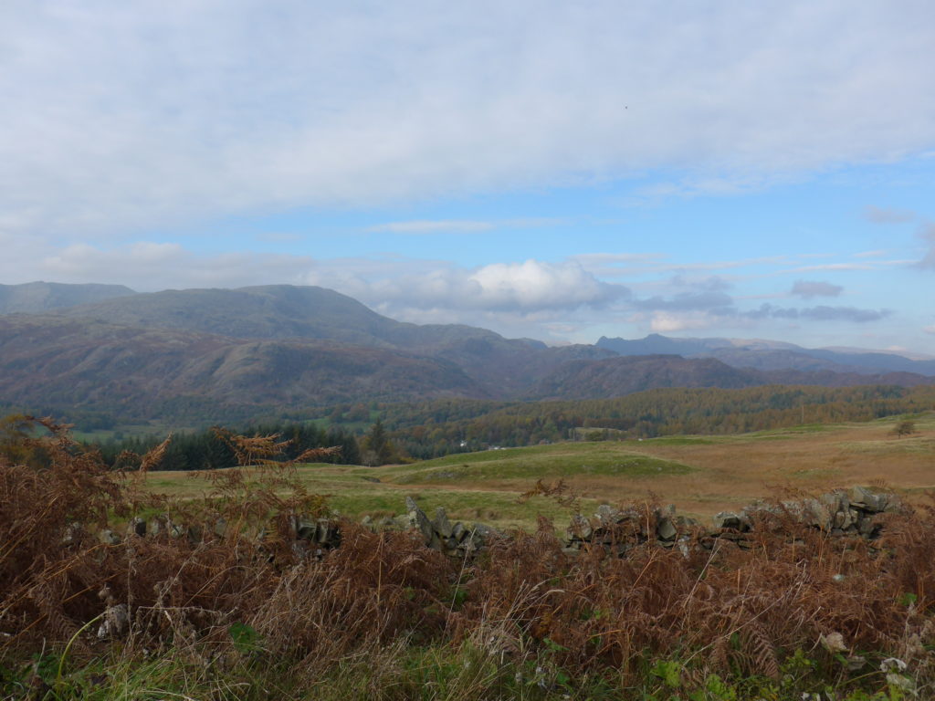 View from the cycling trails at Grizedale Forest