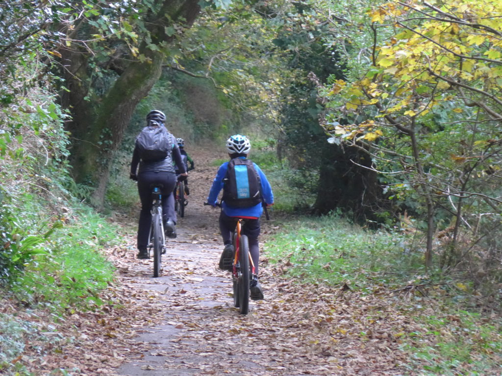 Cornwall coast to coast with kids - great trails