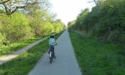 Cuckoo Trail cycle path