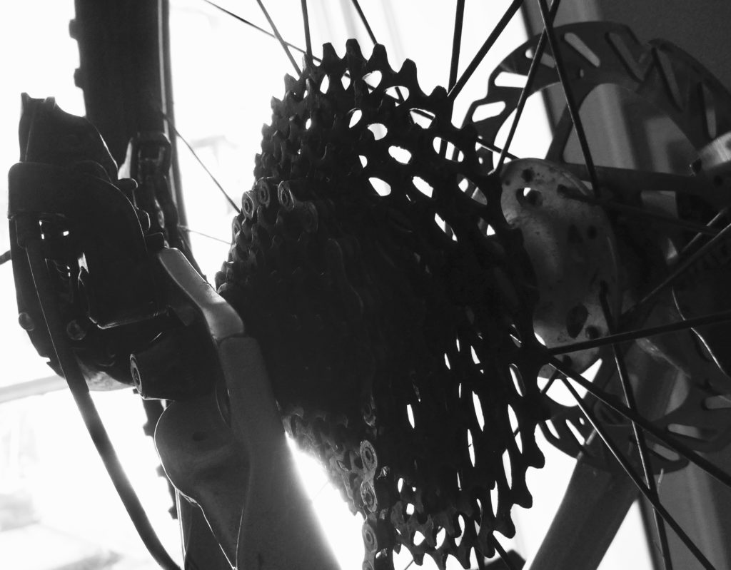 Buying a kids 24" wheel mountain bike - rear cassette in monochrome