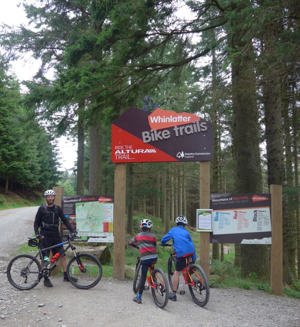 Family cycling routes around Cumbria and the Lake District - Whinlatter Forest