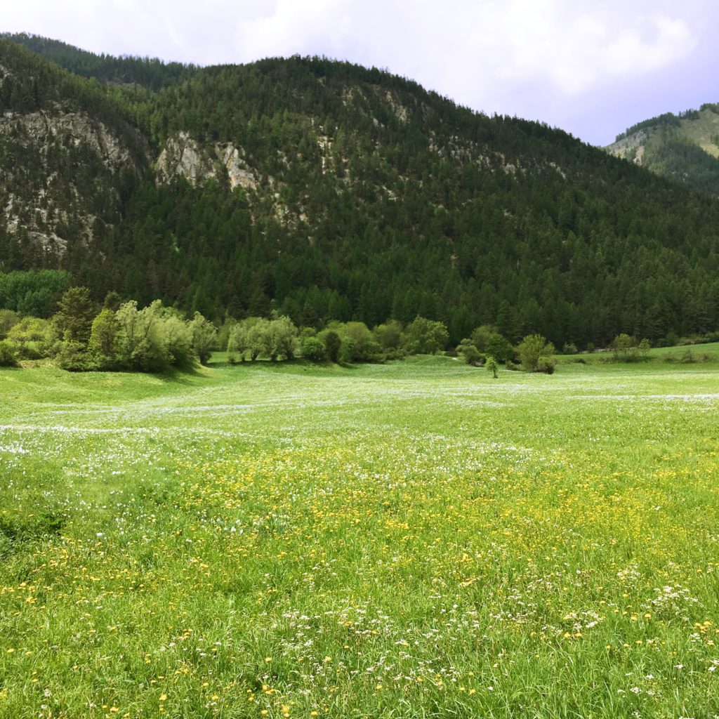The meadows of the Vallée de la Clarée in the French Alps during spring time