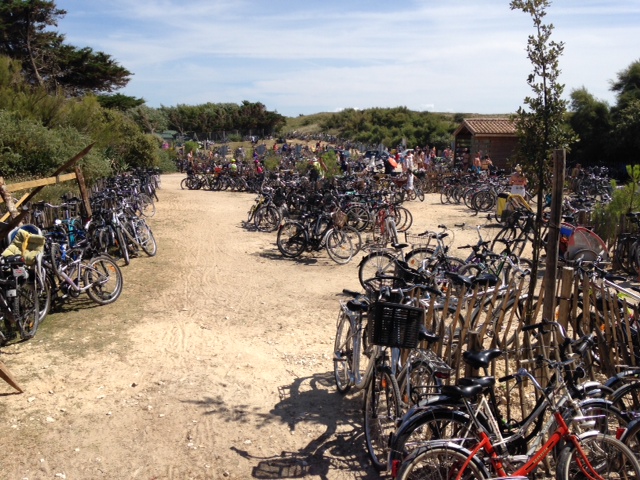 Cycling with Children in France - Everyone, or all ages cycle everywhere on the Ille de Re