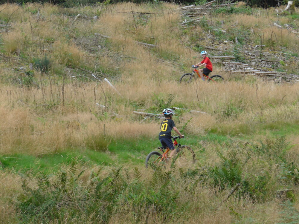 Riding the blue MTB route with our kids at Kirroughtree, Dumries, Scotland