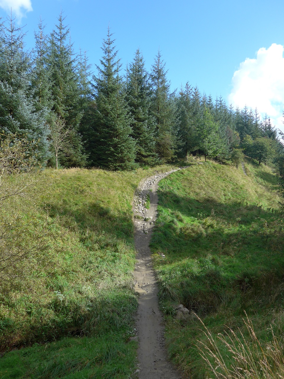 Part of the red route at Gisburn Forest MTB trails