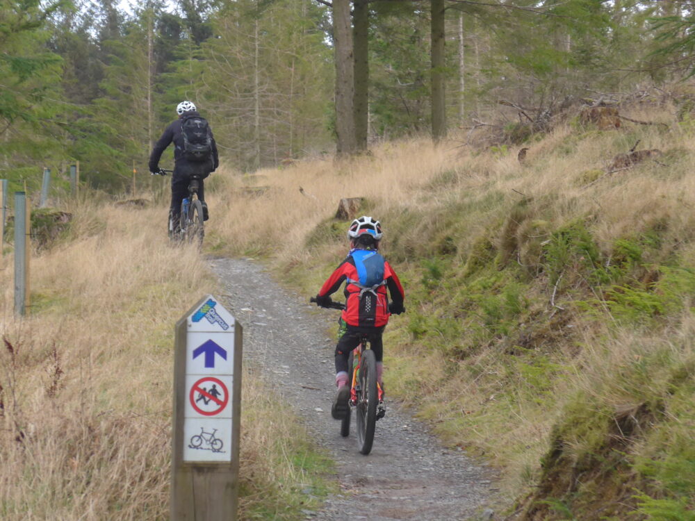 The blue route at Whinlatter is great for all the family to give mountain biking a go