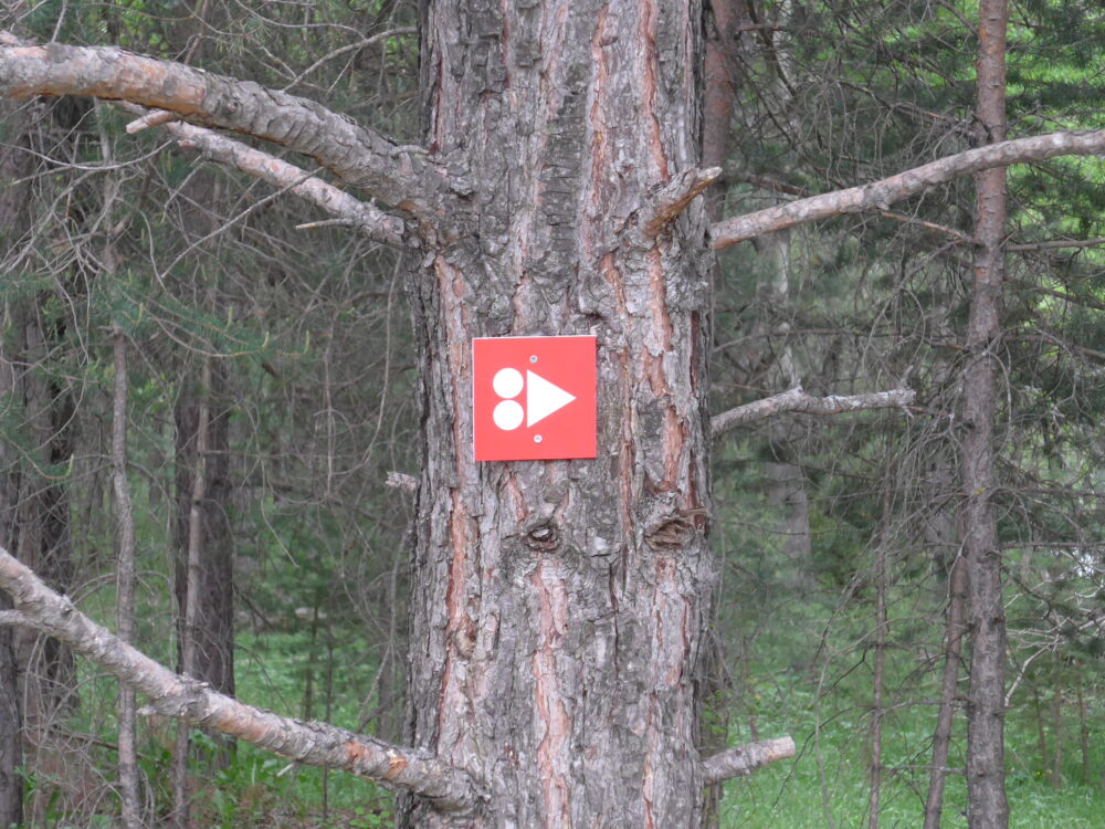 Way markers on the mountain biking trails in the French Alps