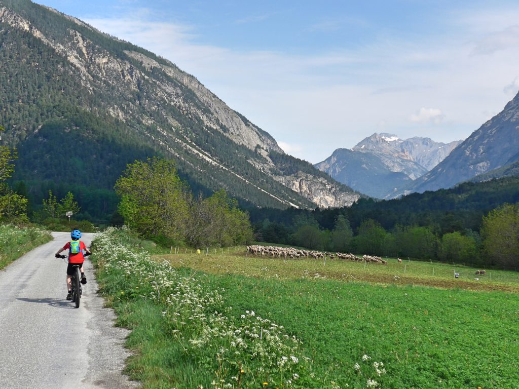 Family cycling in the Vallée de la Clarée in the French Alps - a mix of quite roads, trails and single track - perfect for kids