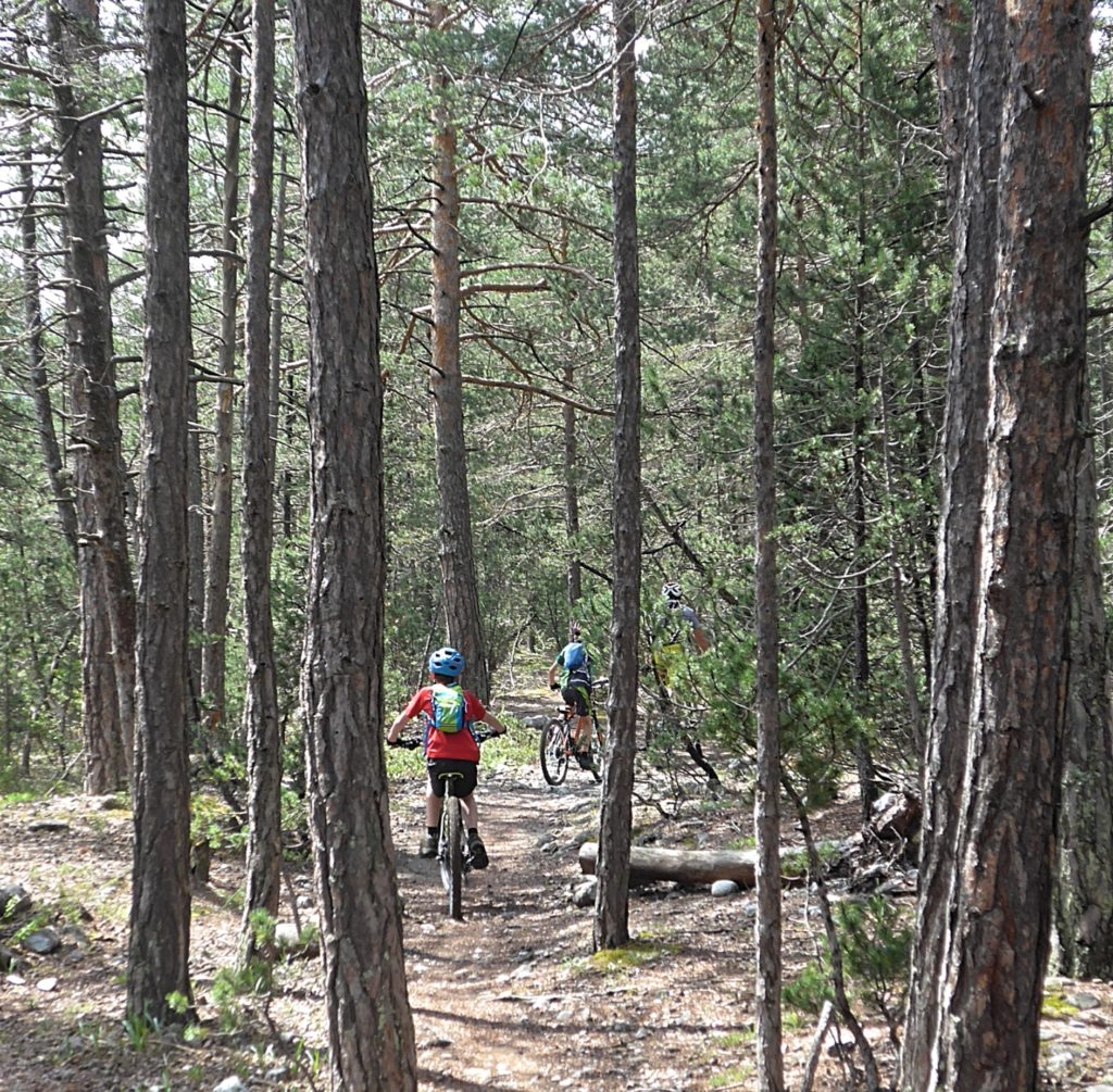 Family cycling in the Vallée de la Clarée in the French Alps - cooling forest