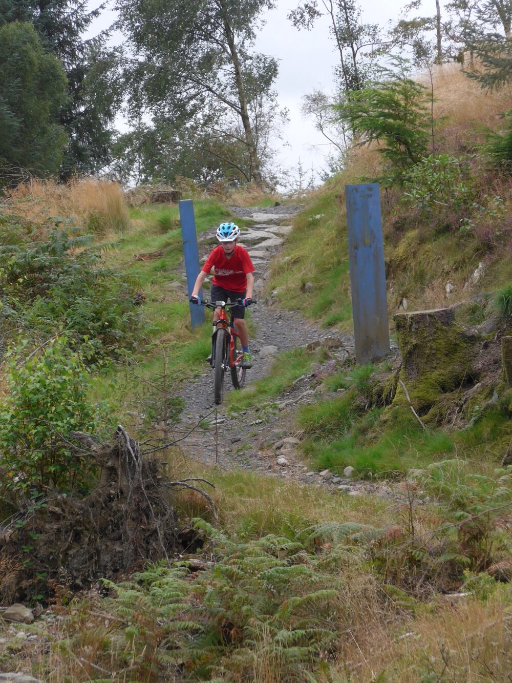 Review of the Islabikes Creig Mountain Bikes for kids - in action at Kirroughtree MTB trail