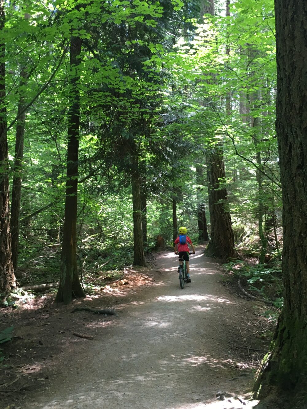 Pacific Spirit Regional Park cycling with kids
