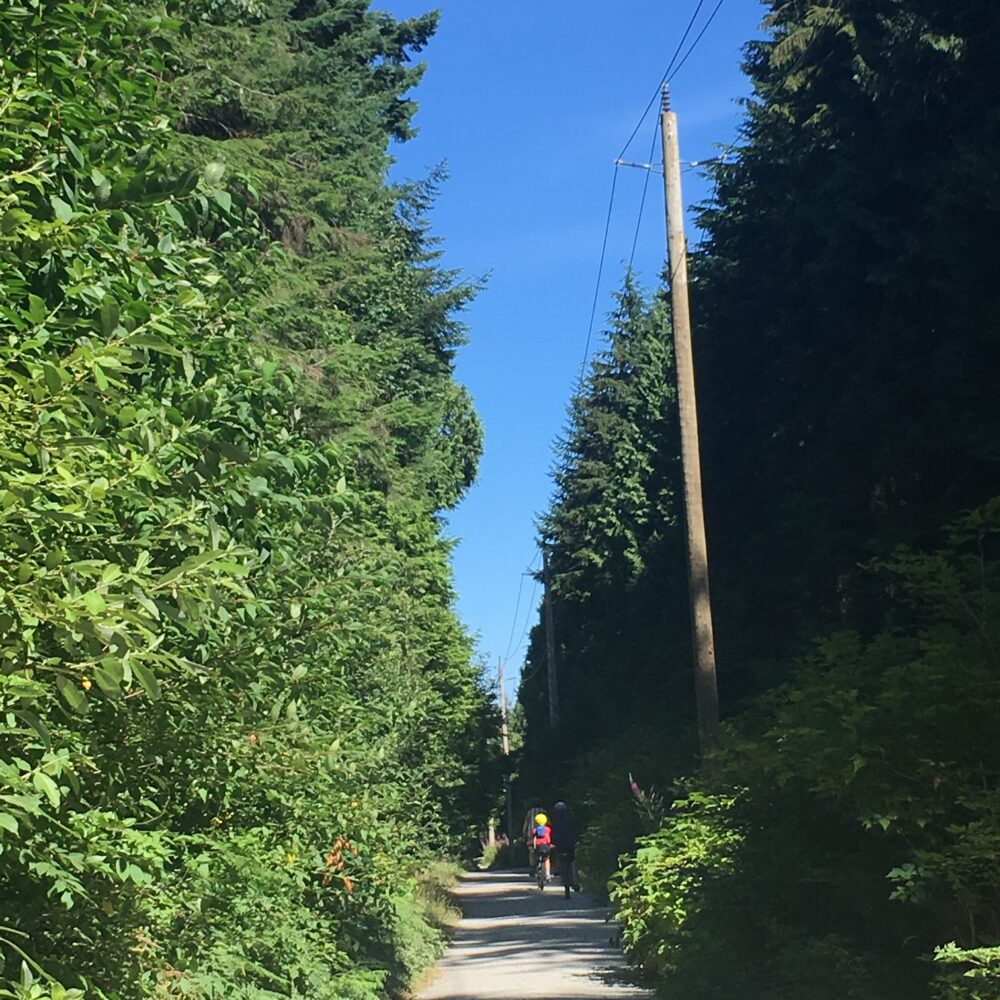 Powerline Trail Pacific Spirit Regional Park