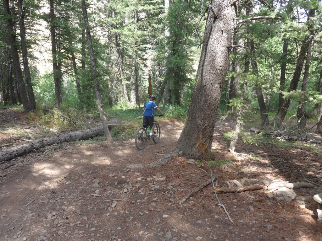 Downhill at the Adams Gulch Trail System Ketchum Idaho