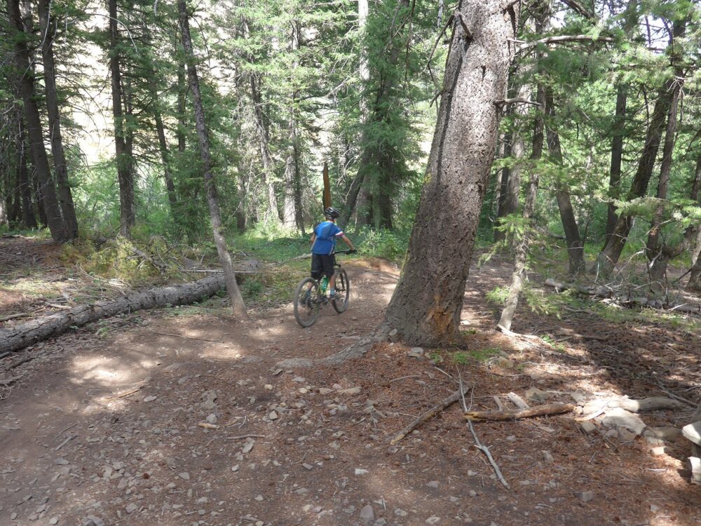 Downhill at the Adams Gulch Trail System Ketchum Idaho Cycle Sprog