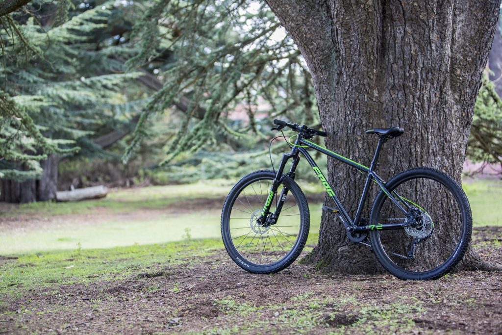 Frog mountain bikes have been launched