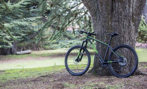 Frog mountain bikes have been launched