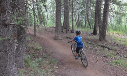 Shadyside Trail Ketchum Sun Valley Idaho