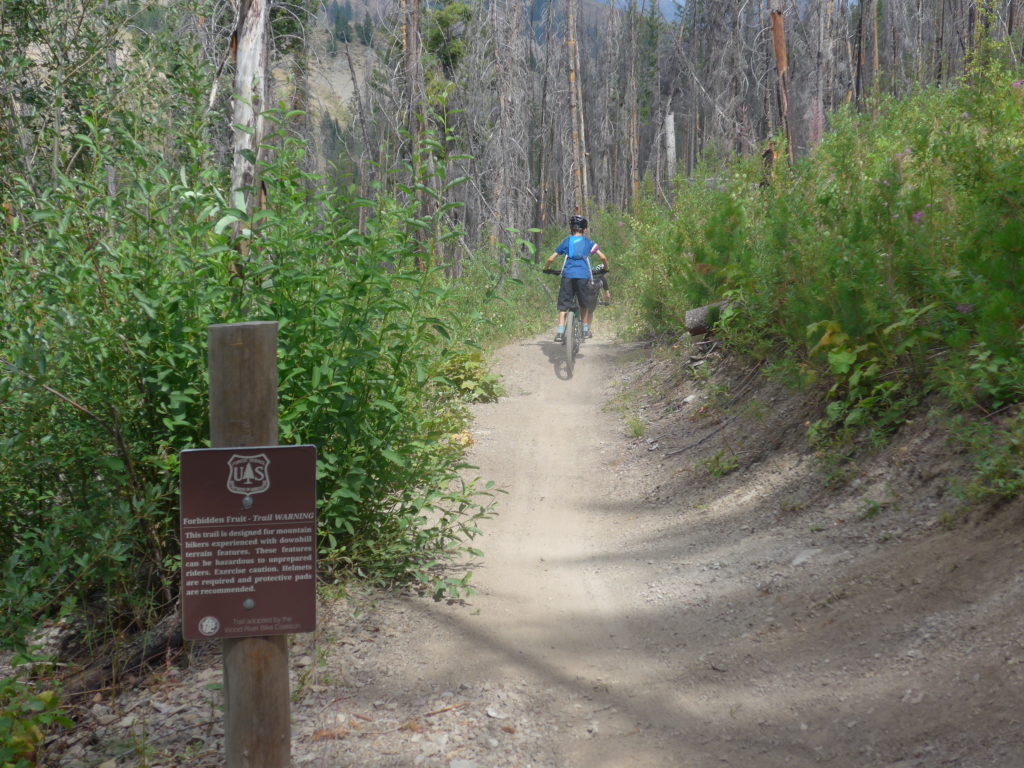 Start of the Forbidden Fruit trail Ketchum Idaho