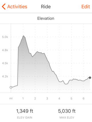 Helena Strava