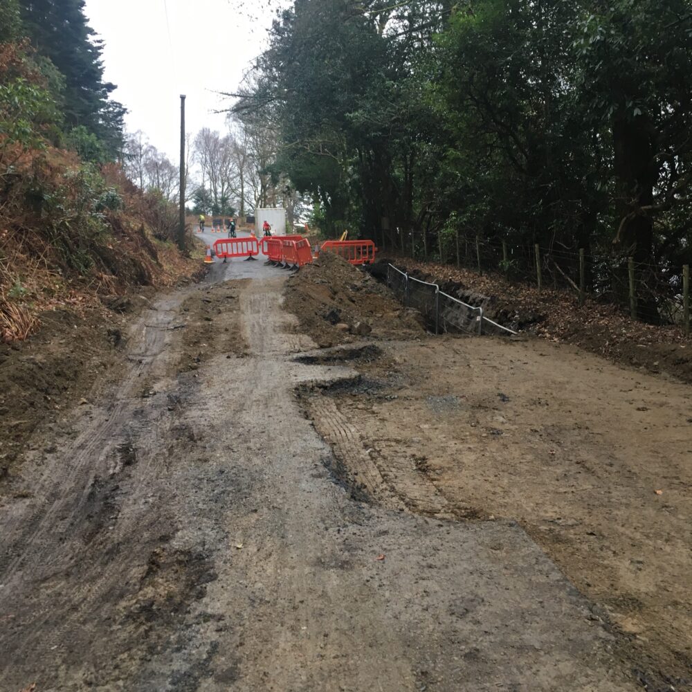 Badgers close the road near Whinlatter Forest in Cumbria - January 2018