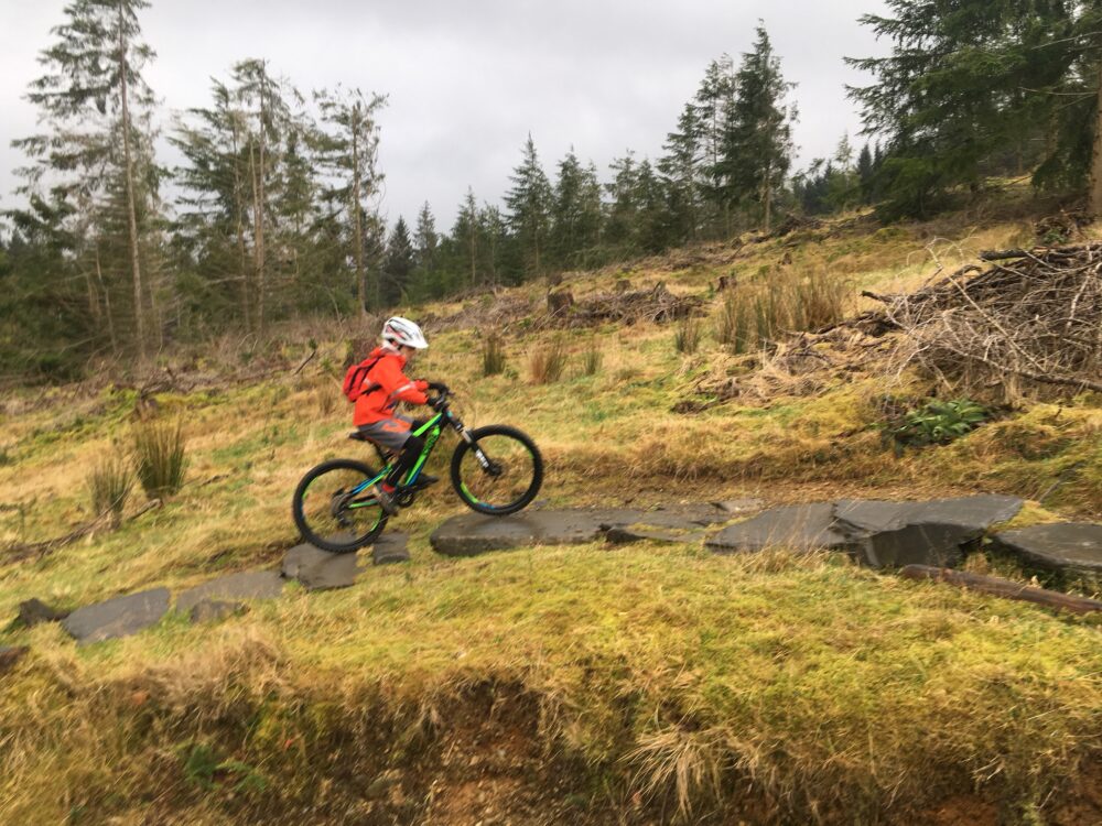 Fun on the Blue mountain biking trail with the kids at Whinlatter Forest, Cumbria