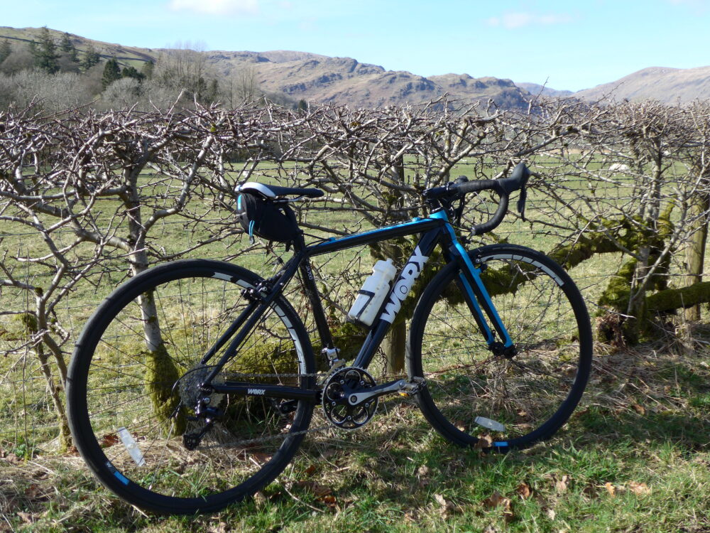 Best kids' bikes: A blue Worx road bike leaning against a bare hedgerow in winter