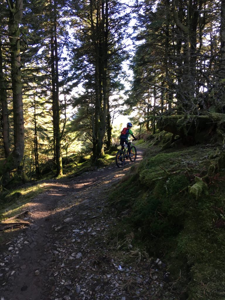 Cube Kid 240SL - Tester T on the trail