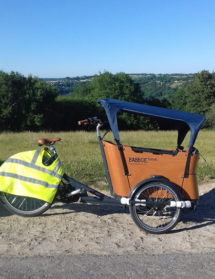 Babboe Curve Mountain e-assist cargo bike review