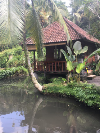 Bali family cycling holiday - accommodation on Day 1 