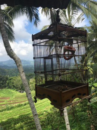 Lunch Spot on Bali