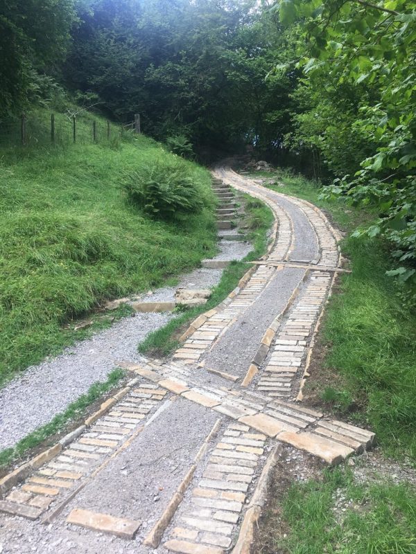 Descent on Keld Swale Trail