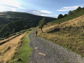 Swale Trail near Gunnerside - nice descent